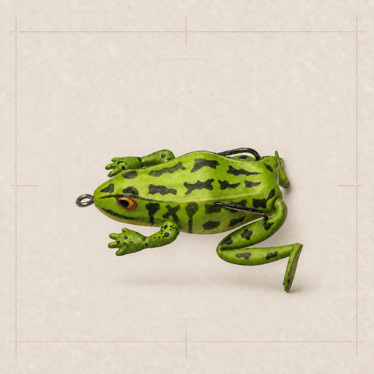 Grass Frog Hop Frog