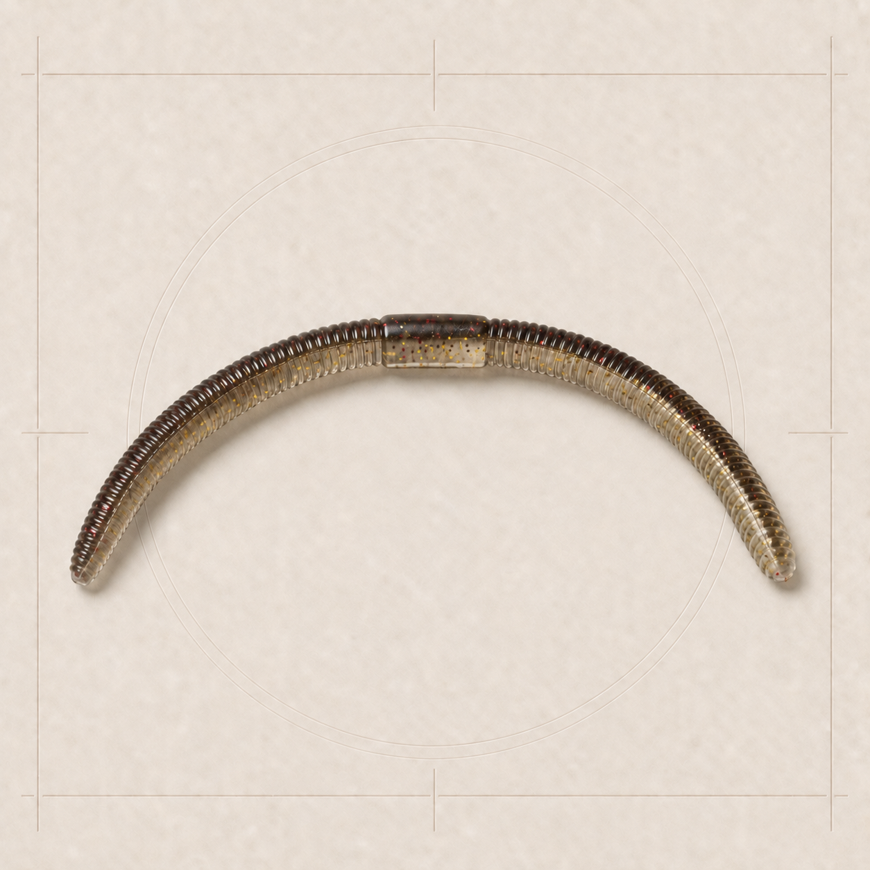 Field specimen "Earth Worm"